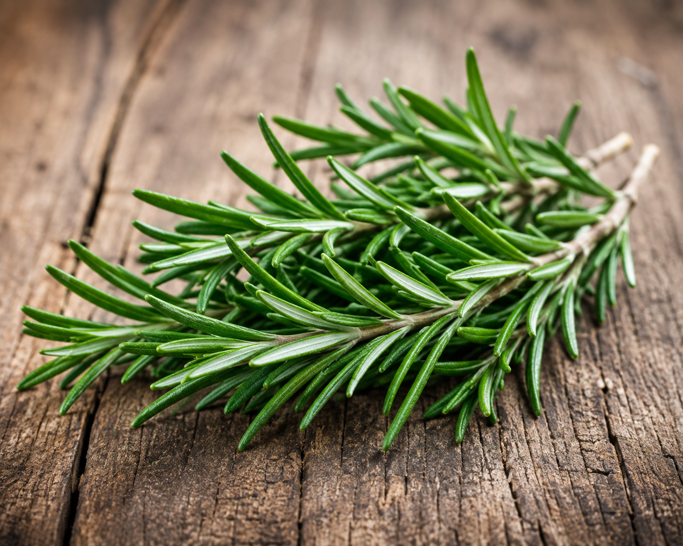 Rosemary